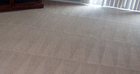 Carpet Cleaning
