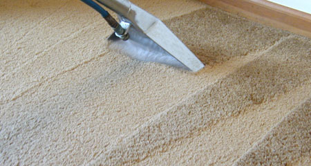 Carpet Cleaning