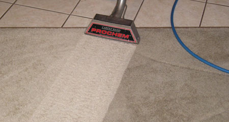 Carpet Cleaning